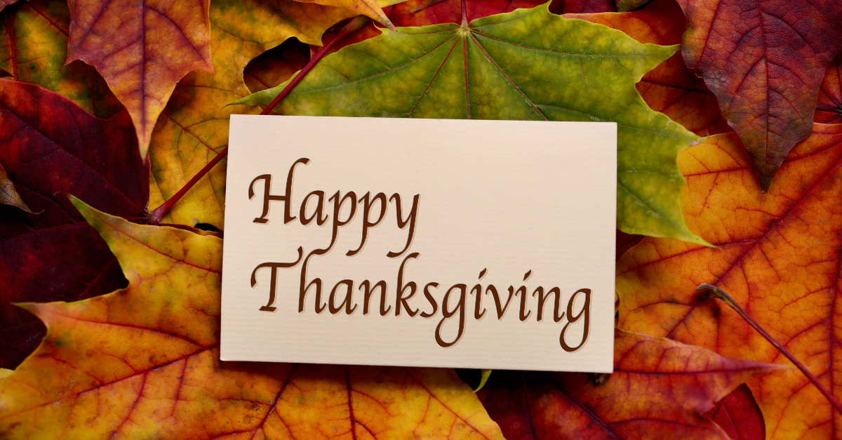 up5524ad1c7aad4f Homeward Bound Video (6).png